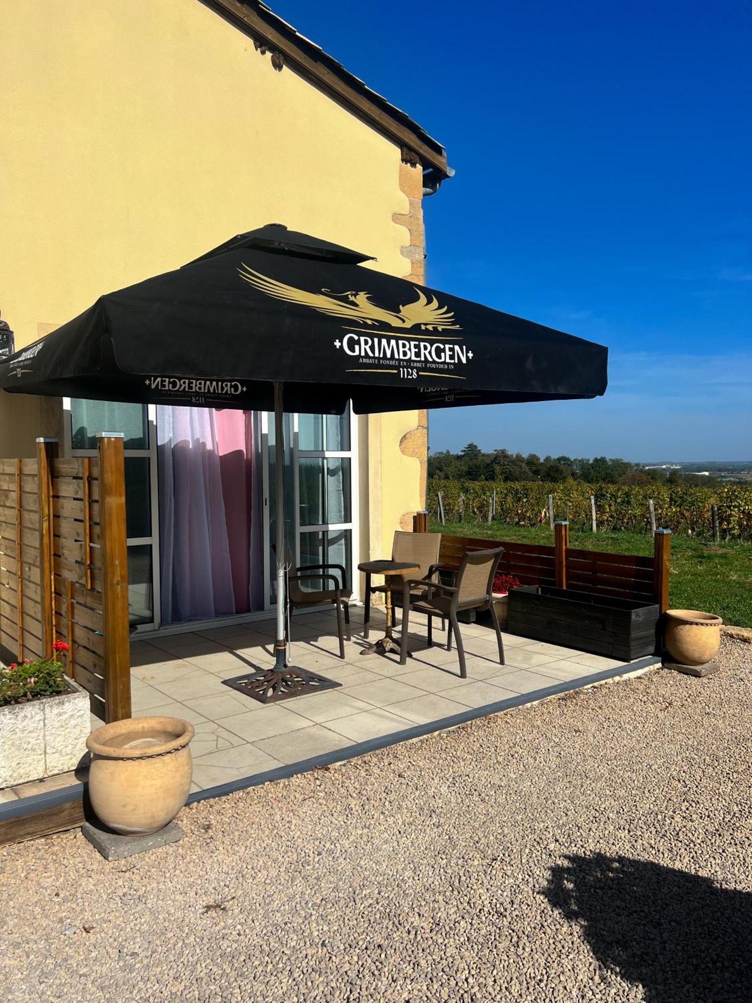 La Cote Des Blancs - Domaine Viticole & Maison D'Hotes Vinzelles Exteriér fotografie